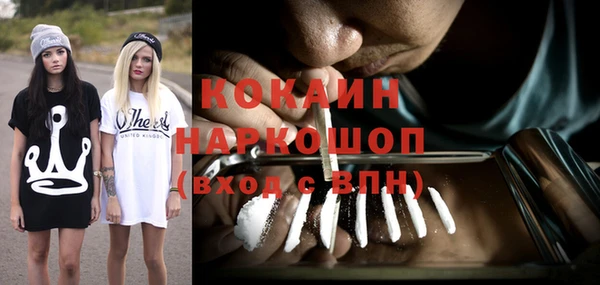 скорость Каменка