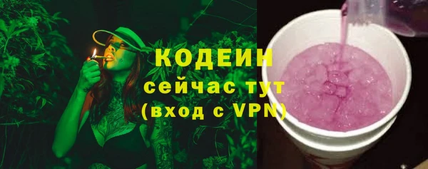 скорость Каменка