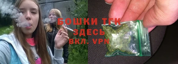 скорость Каменка