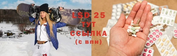 скорость Каменка