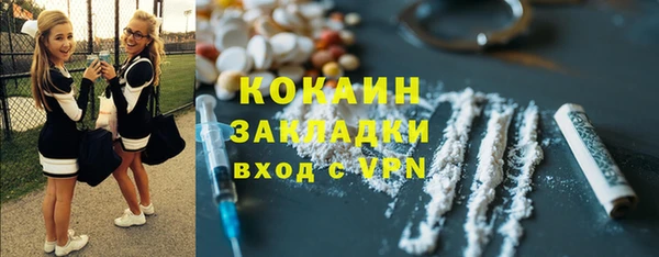 скорость Каменка