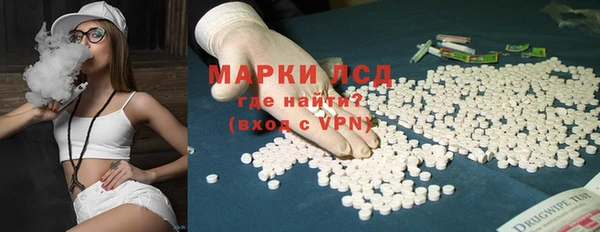 скорость Каменка