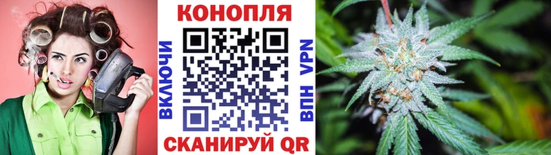 Бошки Шишки THC 21% Ачхой-Мартан